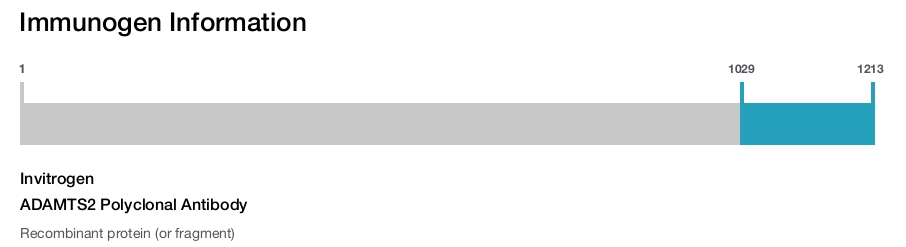 ADAMTS2 Polyclonal Antibody