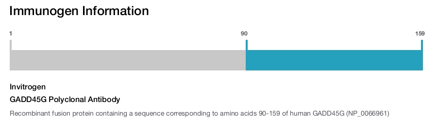 GADD45G Polyclonal Antibody