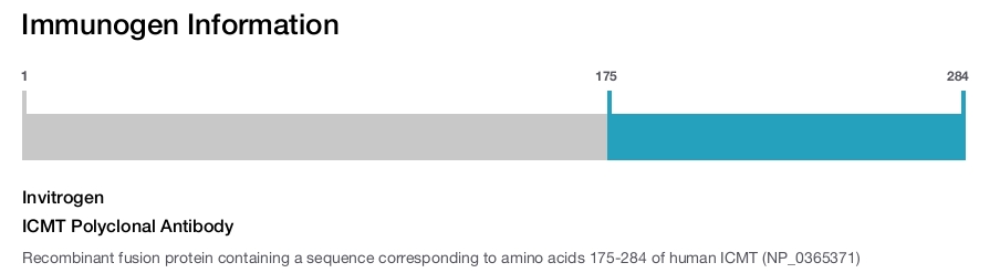 ICMT Polyclonal Antibody