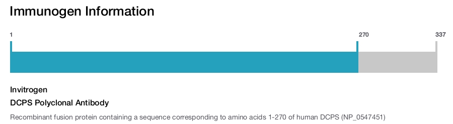 DCPS Polyclonal Antibody
