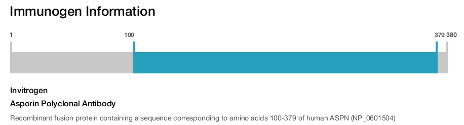 Asporin Polyclonal Antibody