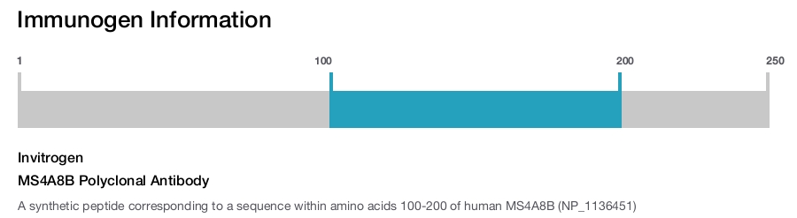 MS4A8B Polyclonal Antibody