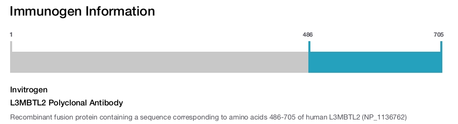 L3MBTL2 Polyclonal Antibody