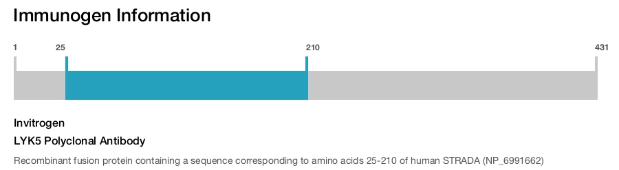 LYK5 Polyclonal Antibody