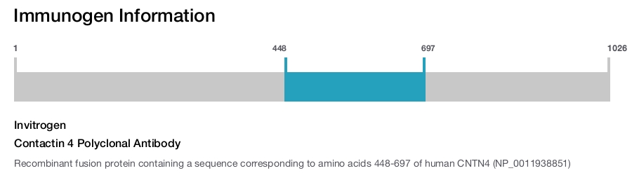 Contactin 4 Polyclonal Antibody