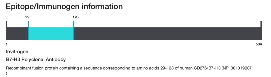 B7-H3 Polyclonal Antibody
