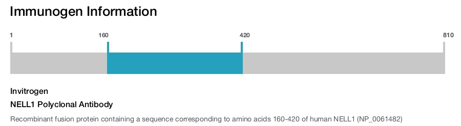 NELL1 Polyclonal Antibody