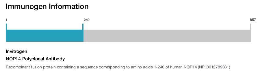 NOP14 Polyclonal Antibody