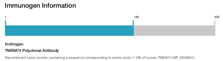 TMEM74 Polyclonal Antibody