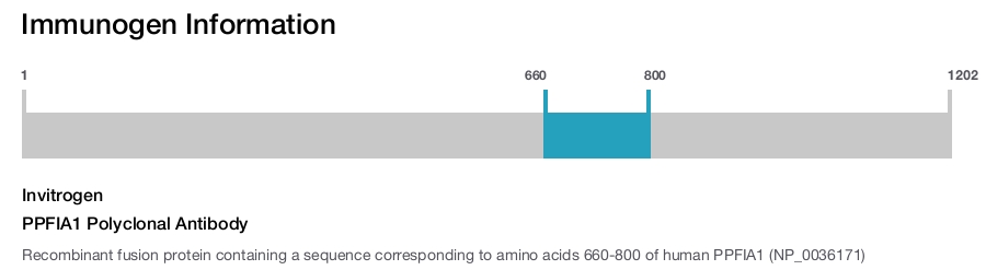 PPFIA1 Polyclonal Antibody