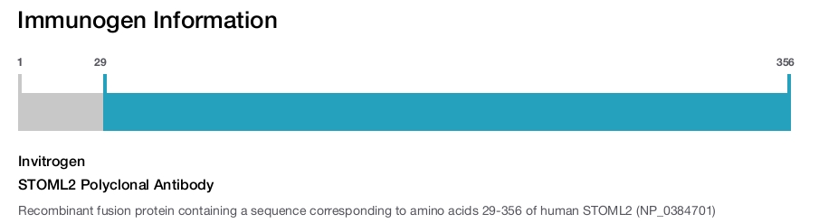 STOML2 Polyclonal Antibody