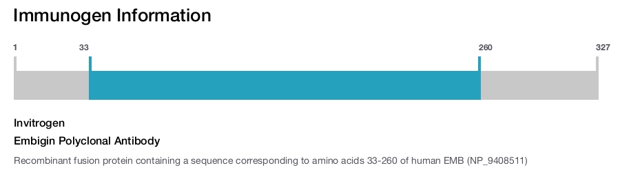 Embigin Polyclonal Antibody