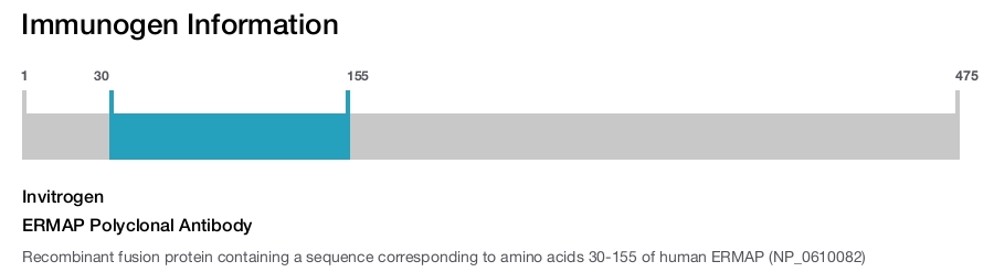 ERMAP Polyclonal Antibody