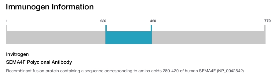 SEMA4F Polyclonal Antibody