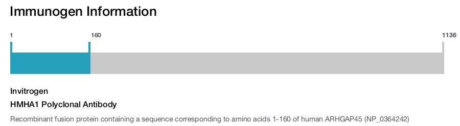 HMHA1 Polyclonal Antibody