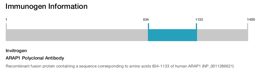 ARAP1 Polyclonal Antibody