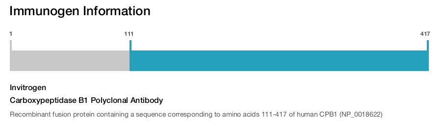 Carboxypeptidase B1 Polyclonal Antibody