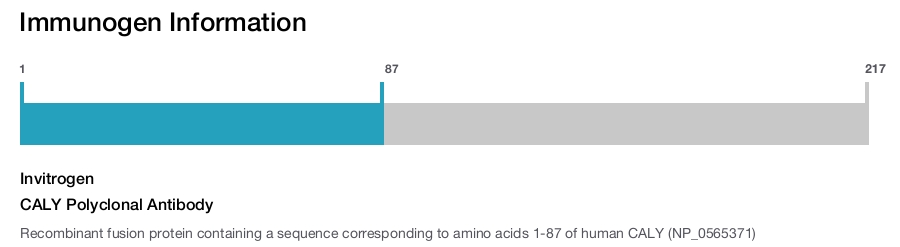 CALY Polyclonal Antibody