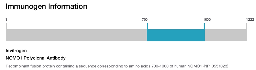 NOMO1 Polyclonal Antibody