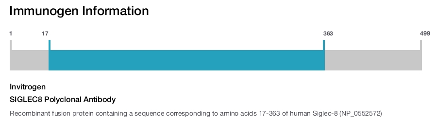 SIGLEC8 Polyclonal Antibody