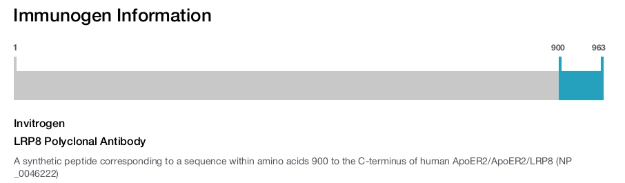 LRP8 Polyclonal Antibody