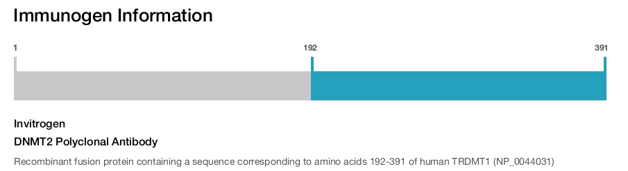 DNMT2 Polyclonal Antibody