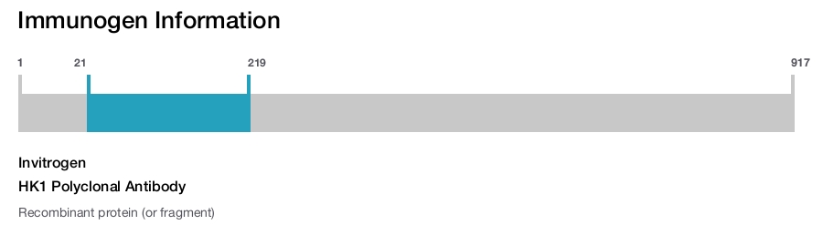 HK1 Polyclonal Antibody