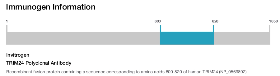 TRIM24 Polyclonal Antibody