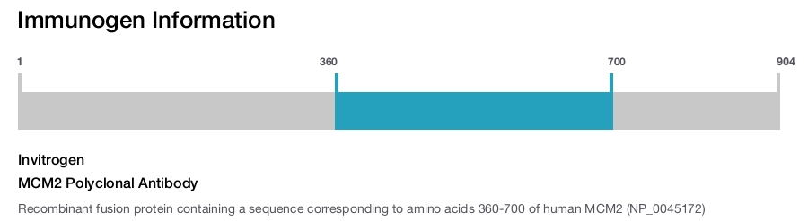 MCM2 Polyclonal Antibody
