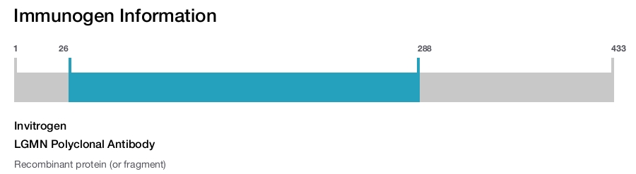 LGMN Polyclonal Antibody