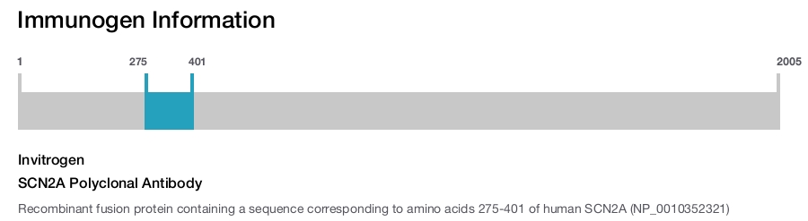 SCN2A Polyclonal Antibody