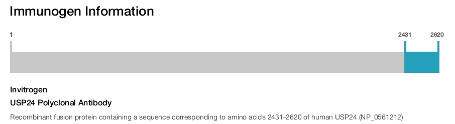 USP24 Polyclonal Antibody