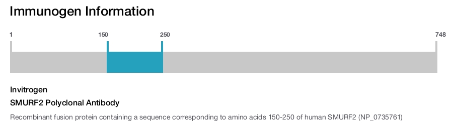 SMURF2 Polyclonal Antibody