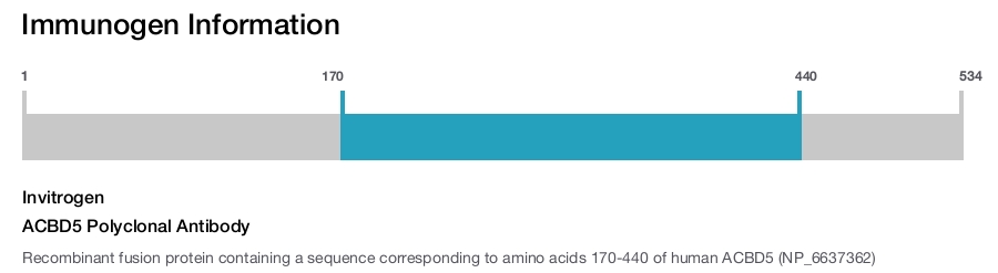 ACBD5 Polyclonal Antibody