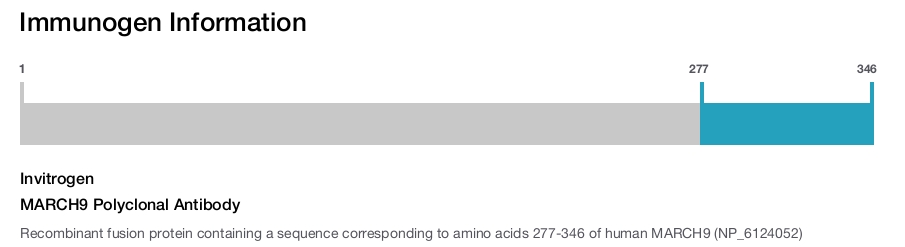 MARCH9 Polyclonal Antibody