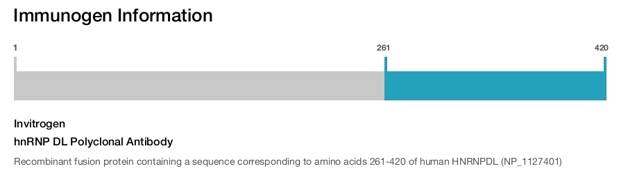hnRNP DL Polyclonal Antibody