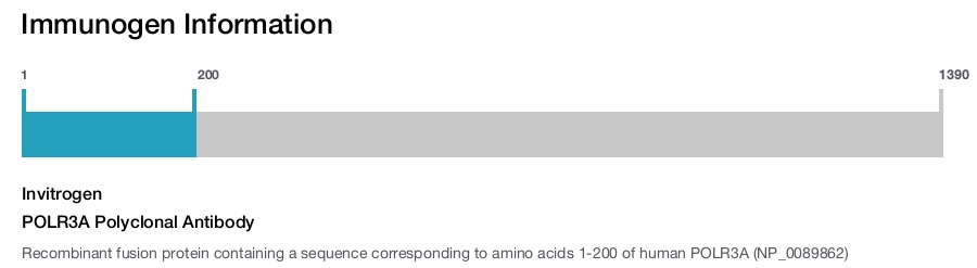 POLR3A Polyclonal Antibody