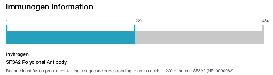 SF3A2 Polyclonal Antibody