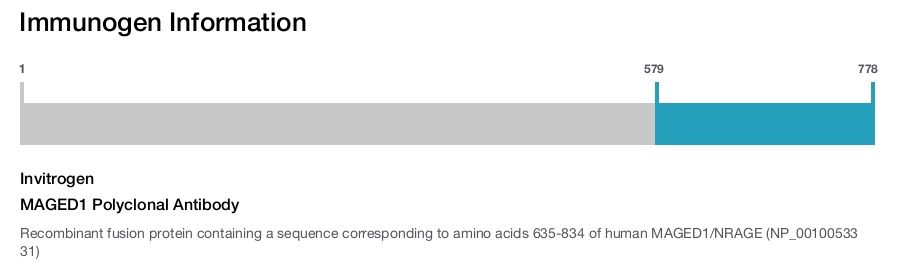 MAGED1 Polyclonal Antibody