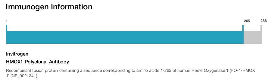HMOX1 Polyclonal Antibody