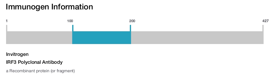 IRF3 Polyclonal Antibody