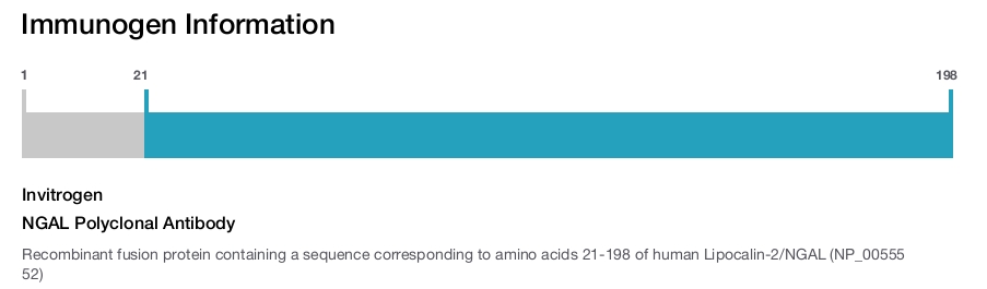 NGAL Polyclonal Antibody
