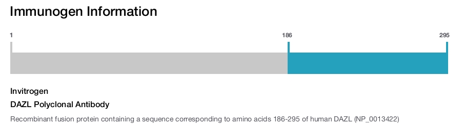 DAZL Polyclonal Antibody