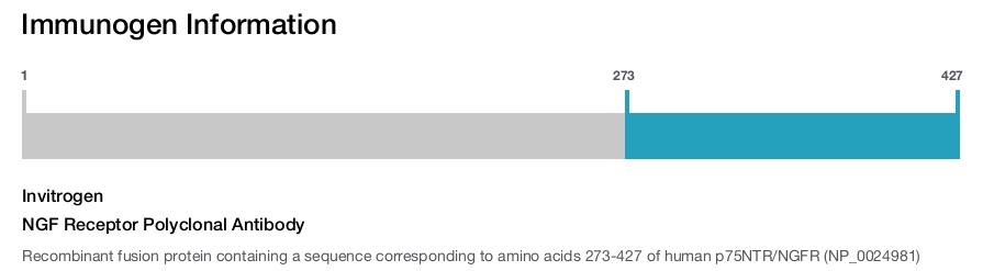 NGF Receptor Polyclonal Antibody