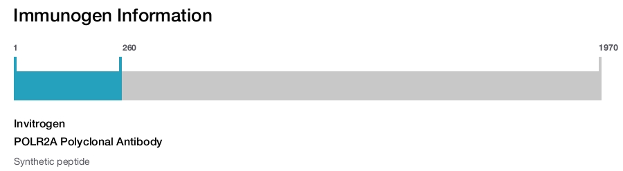 POLR2A Polyclonal Antibody