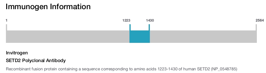 SETD2 Polyclonal Antibody