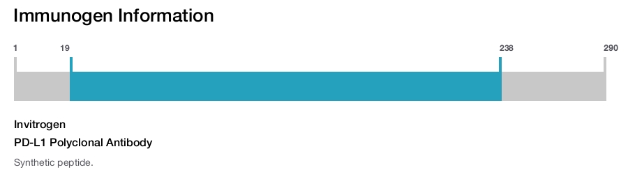 PD-L1 Polyclonal Antibody