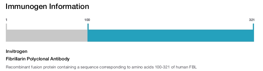 Fibrillarin Polyclonal Antibody