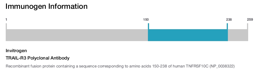 TRAIL-R3 Polyclonal Antibody