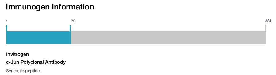 c-Jun Polyclonal Antibody